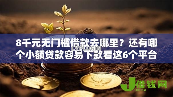 8千元无门槛借款去哪里？还有哪个小额贷款容易下款看这6个平台