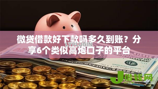 微贷借款好下款吗多久到账?分享6个类似高炮口子的平台 微贷借款好下款吗多久到账?分享6个类似高炮口子的平台