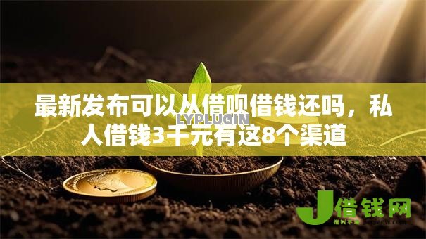 最新发布可以从借呗借钱还吗，私人借钱3千元有这8个渠道