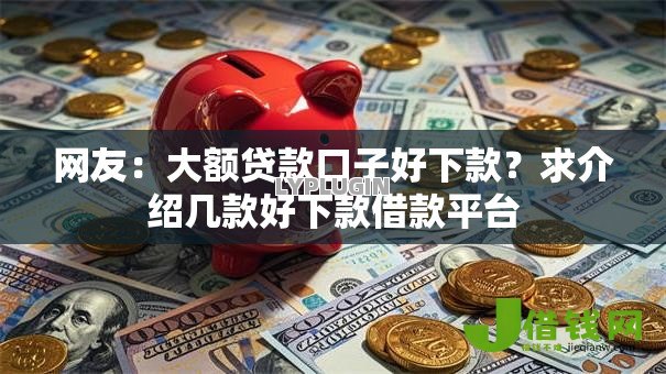 网友：大额贷款口子好下款？求介绍几款好下款借款平台