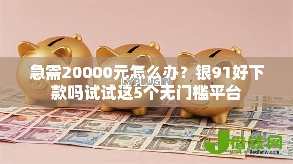 急需20000元怎么办？银91好下款吗试试这5个无门槛平台