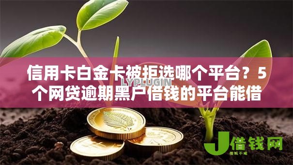 信用卡白金卡被拒选哪个平台？5个网贷逾期黑户借钱的平台能借推荐