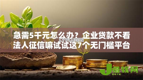 急需5千元怎么办？企业贷款不看法人征信嘛试试这7个无门槛平台
