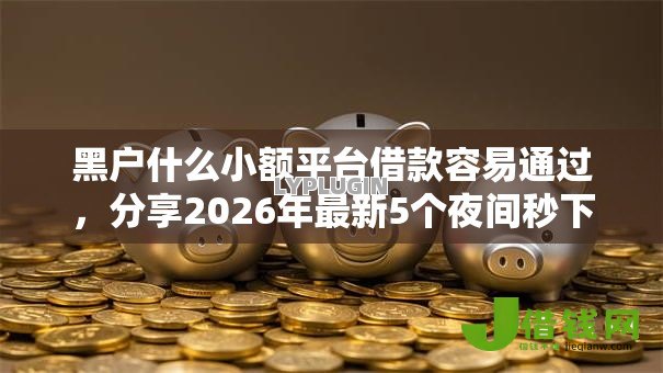 黑户什么小额平台借款容易通过，分享2026年最新5个夜间秒下款的14天口子