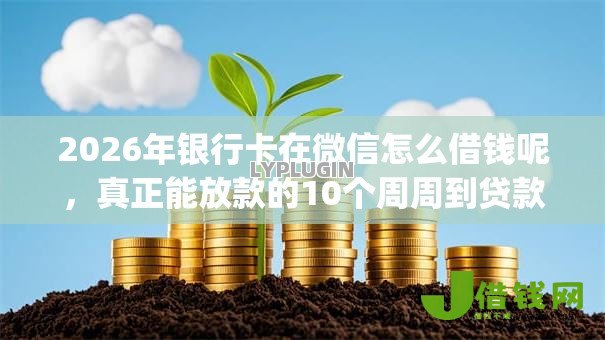 2026年银行卡在微信怎么借钱呢,真正能放款的10个周周到贷款相同系列的app推荐 2026年银行卡在微信怎么借钱呢,真正能放款的10个周周到贷款相同系列的app推荐