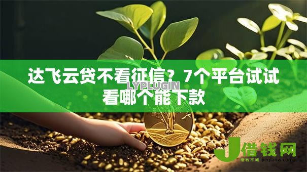 达飞云贷不看征信?7个平台试试看哪个能下款 达飞云贷不看征信?7个平台试试看哪个能下款