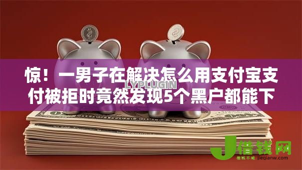 惊！一男子在解决怎么用支付宝支付被拒时竟然发现5个黑户都能下款的平台，事后分享了出来
