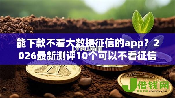 能下款不看大数据征信的app？2026最新测评10个可以不看征信就能下款的软件
