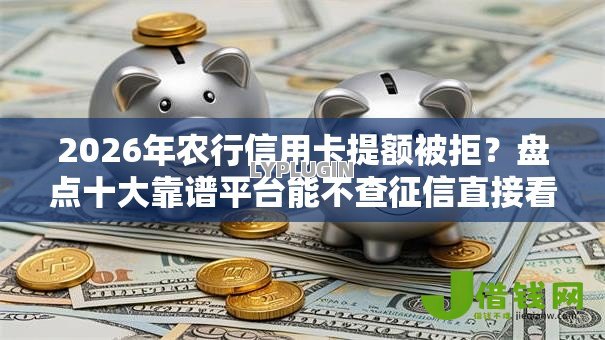 2026年农行信用卡提额被拒？盘点十大靠谱平台能不查征信直接看出来借款额度