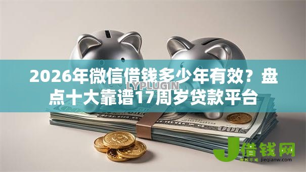 2026年微信借钱多少年有效？盘点十大靠谱17周岁贷款平台
