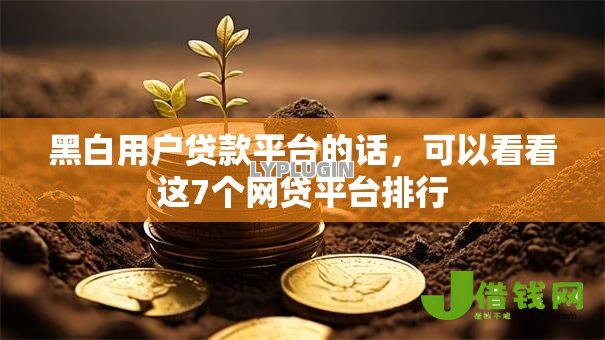 黑白用户贷款平台的话,可以看看这7个网贷平台排行 黑白用户贷款平台的话,可以看看这7个网贷平台排行