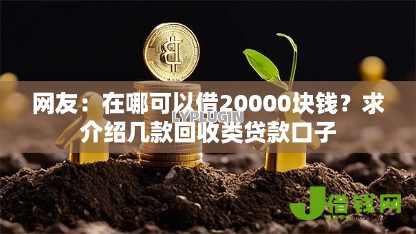 网友：在哪可以借20000块钱？求介绍几款回收类贷款口子