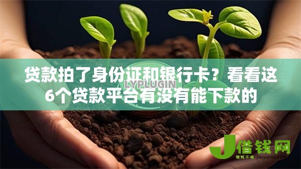 贷款拍了身份证和银行卡？看看这6个贷款平台有没有能下款的