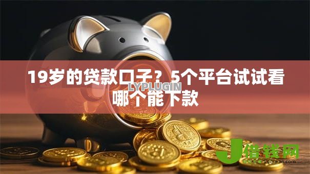 19岁的贷款口子?5个平台试试看哪个能下款 19岁的贷款口子?5个平台试试看哪个能下款