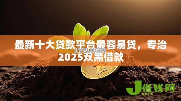最新十大贷款平台最容易贷,专治2025双黑借款 最新十大贷款平台最容易贷,专治2025双黑借款