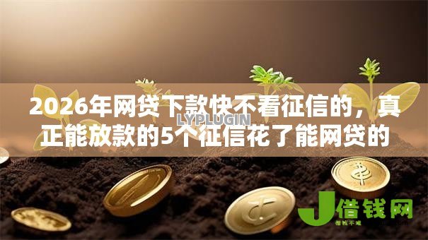 2026年网贷下款快不看征信的，真正能放款的5个征信花了能网贷的口子推荐