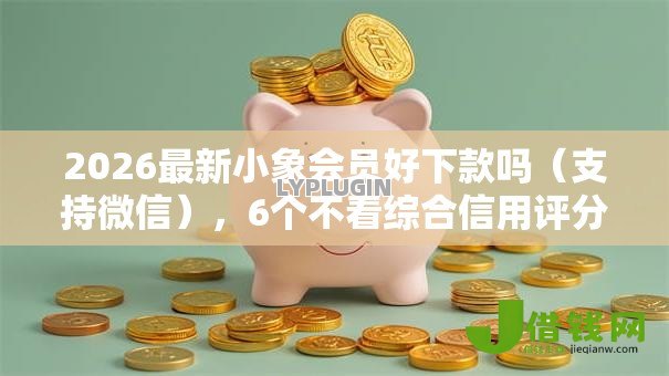 2026最新小象会员好下款吗(支持微信),6个不看综合信用评分能下款的软件无私分享 2026最新小象会员好下款吗(支持微信),6个不看综合信用评分能下款的软件无私分享
