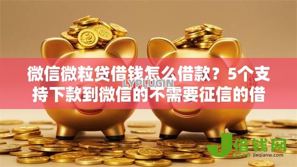 微信微粒贷借钱怎么借款？5个支持下款到微信的不需要征信的借款平台