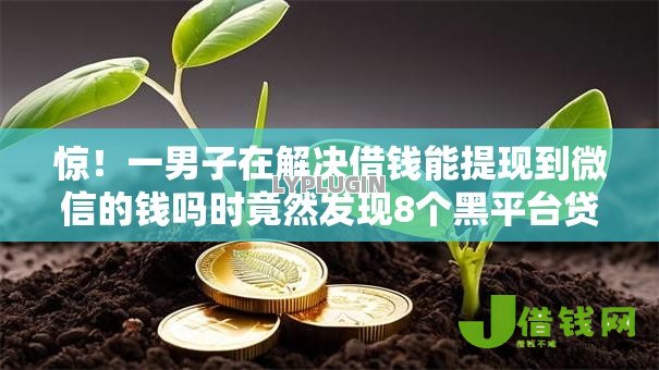 惊!一男子在解决借钱能提现到微信的钱吗时竟然发现8个黑平台贷款,事后分享了出来 惊!一男子在解决借钱能提现到微信的钱吗时竟然发现8个黑平台贷款,事后分享了出来
