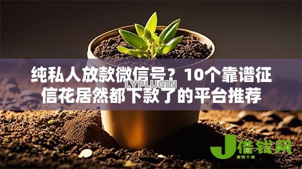 纯私人放款微信号?10个靠谱征信花居然都下款了的平台推荐 纯私人放款微信号?10个靠谱征信花居然都下款了的平台推荐