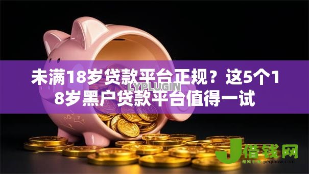 未满18岁贷款平台正规？这5个18岁黑户贷款平台值得一试