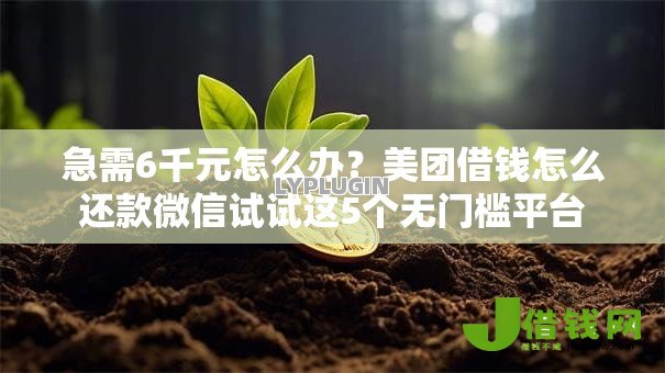 急需6千元怎么办?美团借钱怎么还款微信试试这5个无门槛平台 急需6千元怎么办?美团借钱怎么还款微信试试这5个无门槛平台