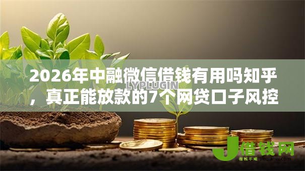 2026年中融微信借钱有用吗知乎,真正能放款的7个网贷口子风控不严的软件推荐 2026年中融微信借钱有用吗知乎,真正能放款的7个网贷口子风控不严的软件推荐