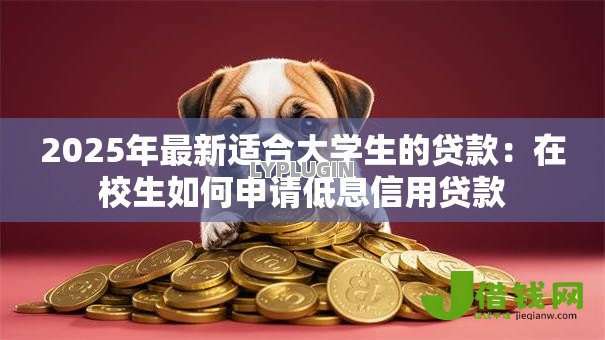 2025年最新适合大学生的贷款：在校生如何申请低息信用贷款