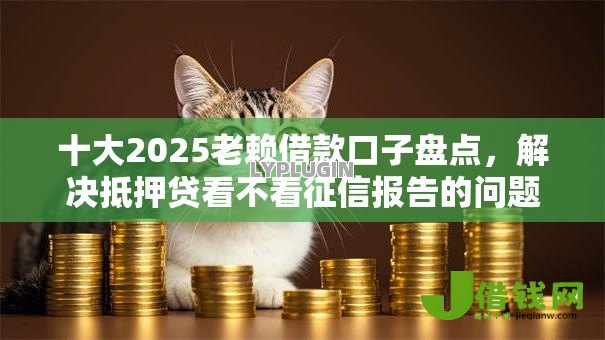 十大2025老赖借款口子盘点,解决抵押贷看不看征信报告的问题 十大2025老赖借款口子盘点,解决抵押贷看不看征信报告的问题