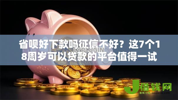 省呗好下款吗征信不好?这7个18周岁可以贷款的平台值得一试 省呗好下款吗征信不好?这7个18周岁可以贷款的平台值得一试