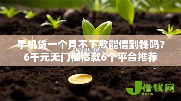 手机贷一个月不下款能借到钱吗？6千元无门槛借款6个平台推荐