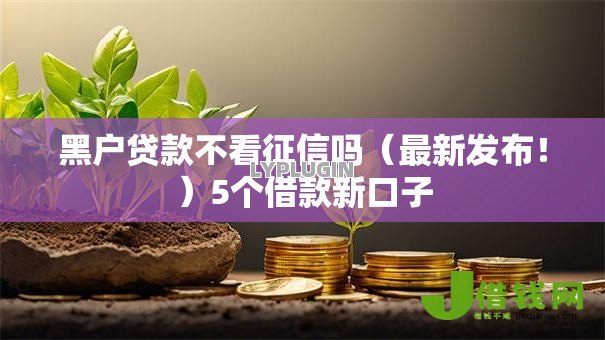 黑户贷款不看征信吗(最新发布!)5个借款新口子 黑户贷款不看征信吗(最新发布!)5个借款新口子
