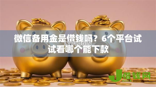 微信备用金是借钱吗？6个平台试试看哪个能下款