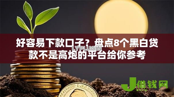 好容易下款口子?盘点8个黑白贷款不是高炮的平台给你参考 好容易下款口子?盘点8个黑白贷款不是高炮的平台给你参考