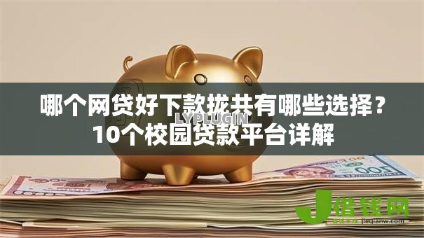 哪个网贷好下款拢共有哪些选择？10个校园贷款平台详解