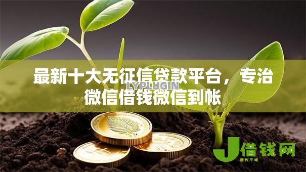 最新十大无征信贷款平台，专治微信借钱微信到帐