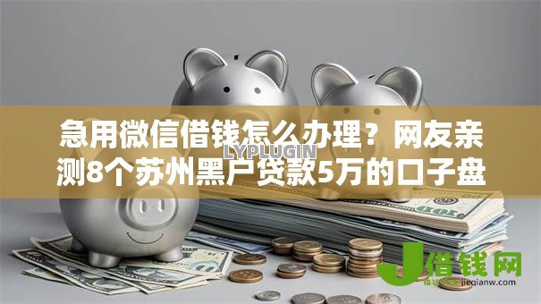 急用微信借钱怎么办理？网友亲测8个苏州黑户贷款5万的口子盘点