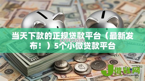 当天下款的正规贷款平台（最新发布！）5个小微贷款平台