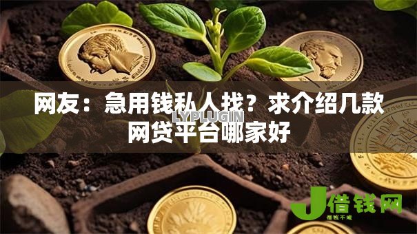 网友：急用钱私人找？求介绍几款网贷平台哪家好