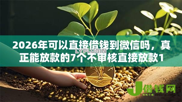 2026年可以直接借钱到微信吗,真正能放款的7个不审核直接放款1000的口子推荐 2026年可以直接借钱到微信吗,真正能放款的7个不审核直接放款1000的口子推荐