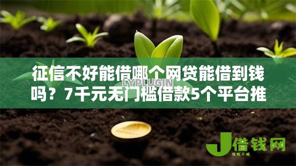 征信不好能借哪个网贷能借到钱吗？7千元无门槛借款5个平台推荐