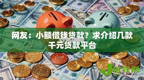 网友：小额借钱贷款？求介绍几款千元贷款平台