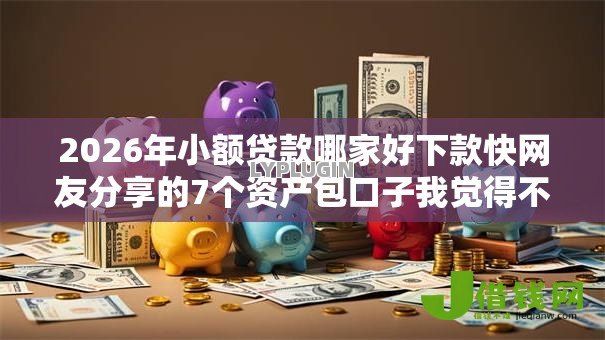 2026年小额贷款哪家好下款快网友分享的7个资产包口子我觉得不错！