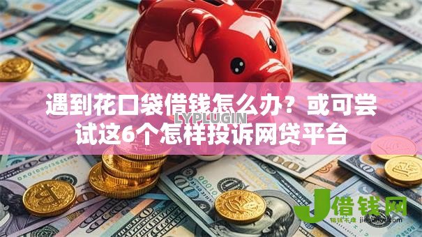 遇到花口袋借钱怎么办？或可尝试这6个怎样投诉网贷平台