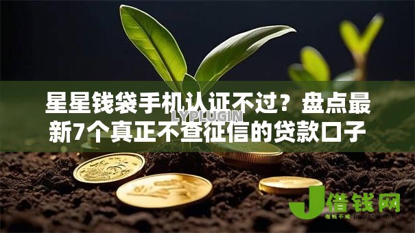 星星钱袋手机认证不过?盘点最新7个真正不查征信的贷款口子 星星钱袋手机认证不过?盘点最新7个真正不查征信的贷款口子