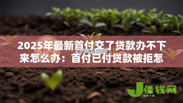 2025年最新首付交了贷款办不下来怎么办:首付已付贷款被拒怎么办 2025年最新首付交了贷款办不下来怎么办:首付已付贷款被拒怎么办