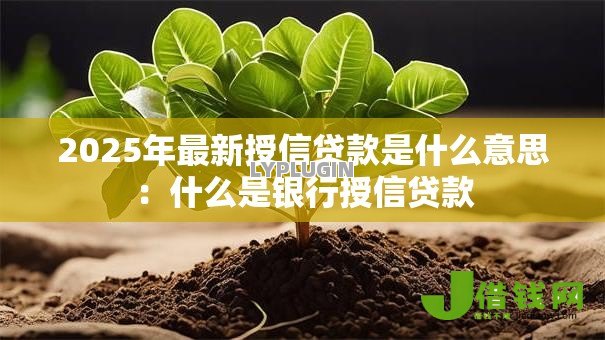 2025年最新授信贷款是什么意思：什么是银行授信贷款