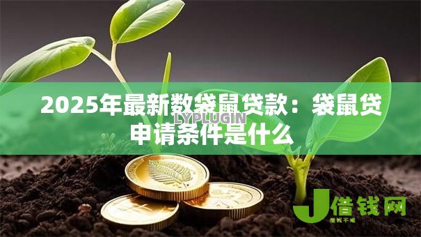 2025年最新数袋鼠贷款：袋鼠贷申请条件是什么