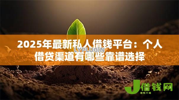 2025年最新私人借钱平台:个人借贷渠道有哪些靠谱选择 2025年最新私人借钱平台:个人借贷渠道有哪些靠谱选择
