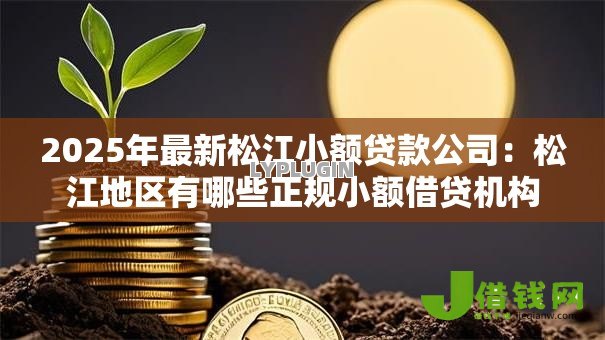 2025年最新松江小额贷款公司:松江地区有哪些正规小额借贷机构 2025年最新松江小额贷款公司:松江地区有哪些正规小额借贷机构